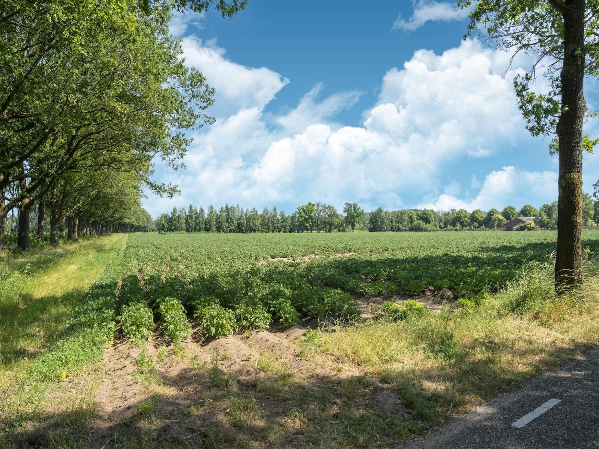 House With A Large Garden In Achterhoek Eibergen Exterior foto